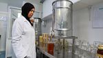 Perubahan Iklim Ancam Produksi Madu di Tunisia