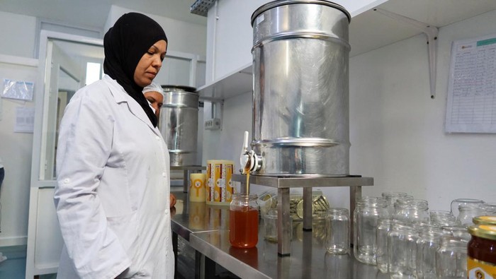 Perubahan Iklim Ancam Produksi Madu di Tunisia A drone view shows beekeeper Bilel Sliman and Wahid Ben Ferjani, head of the Agricultural Development Complex for Beekeepers, inspecting Sliman's apiary in Zaghouan, Tunisia September 12, 2024. REUTERS/Jihed Abidellaoui