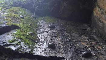 Dr. Wang Shangyan dari Bureau of Geology and Mineral Exploration and Development of Guizhou mengklaim bahwa telur batu sebenarnya adalah gumpalan yang terbentuk oleh molekul kalsium karbonat di laut dalam sekitar 500 juta tahun yang lalu selama Periode Kambrium. Foto: via Geologyn