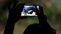 Setelah pengumuman sebulan lalu tentang rencana pengembalian mereka untuk perawatan kesehatan, pengunjung berbondong-bondong datang untuk menyaksikan panda-panda tersebut sebelum kepulangan mereka ke China.  