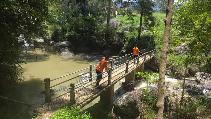 Wanita lanjut usia (lansia) bernama Epi (83) dilaporkan hilang di hutan bambu Kabupaten Toraja Utara, Sulawesi Selatan (Sulsel).
