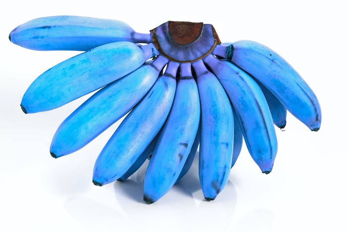 bananas with its inverted colors