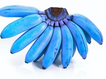 4 Pisang Terbaik di Asia Tenggara, Nomor 1 Bukan dari Indonesia