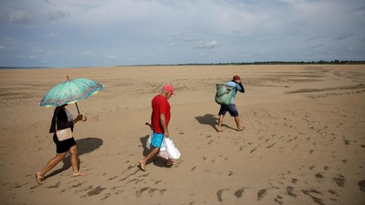 Foto Terkini Sungai Amazon Brasil yang Dilanda Kekeringan Parah