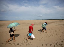 Foto Terkini Sungai Amazon Brasil yang Dilanda Kekeringan Parah