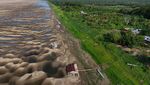Foto Terkini Sungai Amazon Brasil yang Dilanda Kekeringan Parah
