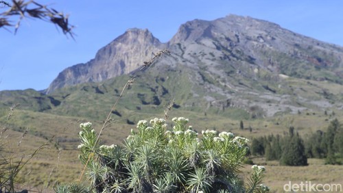 Gunung Rinjani di Lombok.