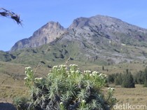 Pendaki Colongan Rusia Jatuh di Gunung Rinjani