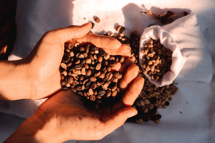 Hari Kopi Sedunia Diperingati Tanggal 1 Oktober, Ini Fakta Menariknya