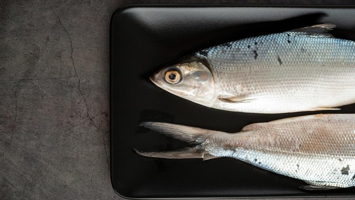 Ilustrasi ikan bandeng di piring