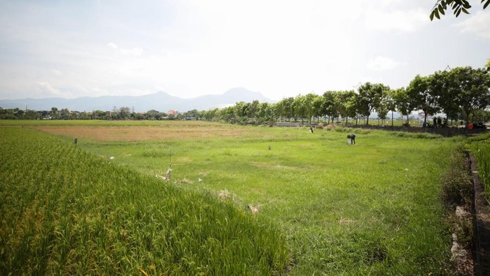 Lokasi pembangunan TPST Gedebage