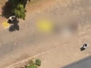 Petra Buka Suara soal Mahasiswa Tewas Diduga Lompat dari Gedung Kampus