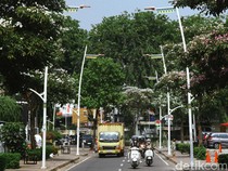 Gokil! Kemang Masuk Kawasan Paling Keren di Dunia Tahun 2025