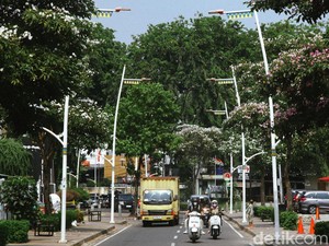 Gokil! Kemang Masuk Kawasan Paling Keren di Dunia Tahun 2025