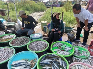 Jokowi Titip Nasib Nelayan-Pesantren, Ahmad Luthfi Siapkan Program Ini