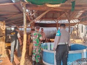 Arena Judi Sabung Ayam di Gresik Digerebek hingga Dibakar