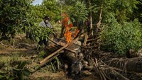 Badai ini mencapai status badai pada 23 September, menghantam pantai Meksiko dan menurunkan hujan lebat di Acapulco selama hampir satu minggu. Sejak saat itu, badai tersebut melambat kembali menjadi badai tropis. (AP Photo/Felix Marquez)