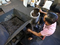 Melihat Produksi Kopi Tradisional di Aceh Besar