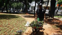 Sedangkan, total ruang terbuka hijau (RTH), baik lahan hutan, Taman Pemakaman Umum (TPU), maupun jalur hijau seluas 1.917 hektare.