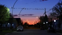 Warga telah mencoba berbagai cara untuk menakut-nakuti mereka, seperti kebisingan dan lampu laser, tetapi tidak ada yang berhasil.  