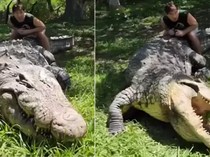 Ini Henry, Buaya Tertua dengan Usia 124 Tahun