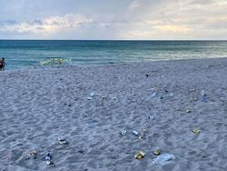 Kumpulan Kelakuan Turis yang Bikin Geleng-geleng, Awas Ikutan Emosi!