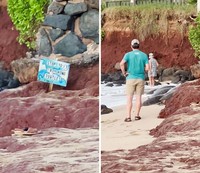 Foto Prilaku Bodoh Turis