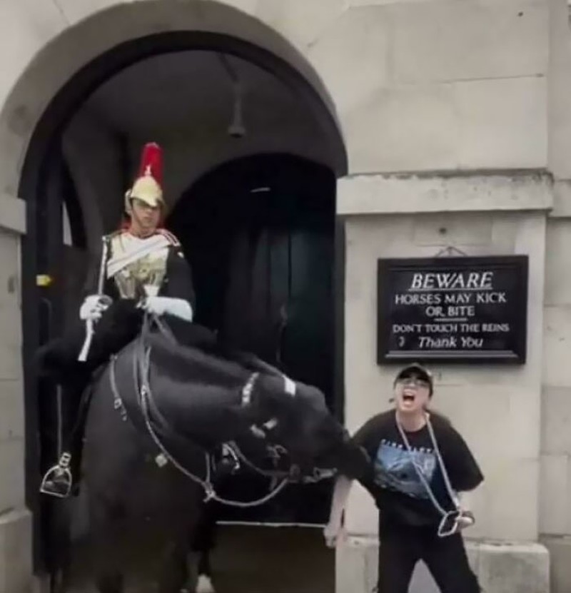 Foto Prilaku Bodoh Turis