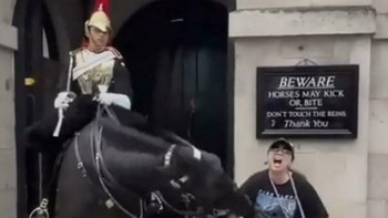 Turis Berdiri di Depan Tanda Anda Mungkin Digigit. Dia Memastikan Tanda Itu Layak Untuk Dipasang Foto: Demilked