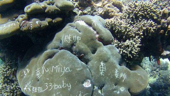 Tindakan yang sama, namun dilakukan di terumbu karang. Foto: Demilked