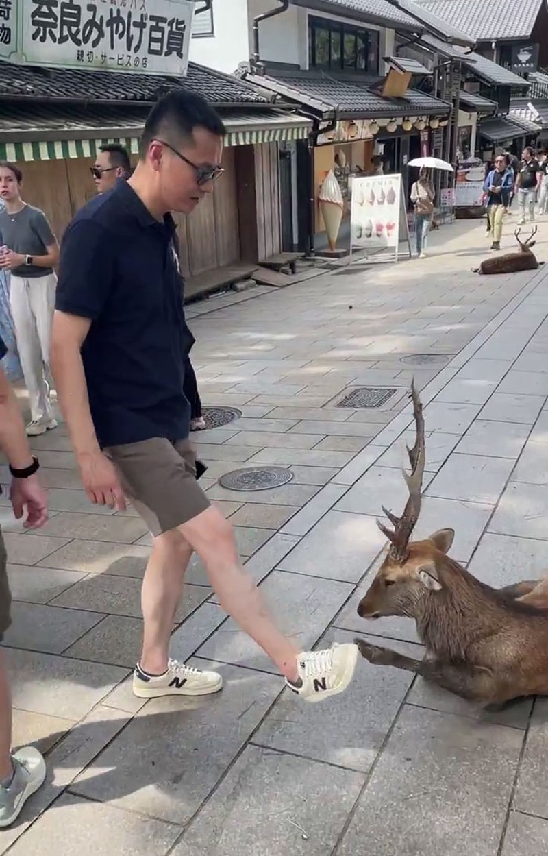 Foto Prilaku Bodoh Turis