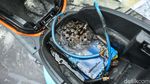 Gak Sembarangan, Ini Cara Padamkan Kebakaran Motor Listrik