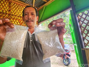 Kisah Abah Online Sukabumi, Tekuni Jualan Nasi hingga Beras Saset