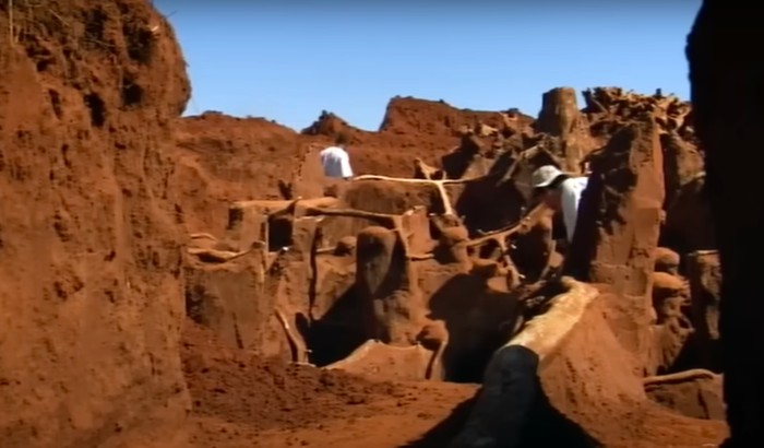 Kota semut raksasa ditemukan di bawah tanah.