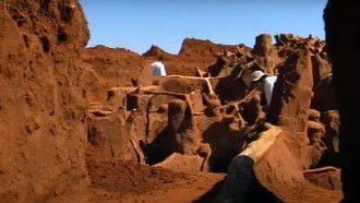 Gila! Ada Kota Semut Raksasa Seluas Lapangan Futsal