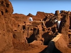 Gila! Ada Kota Semut Raksasa Seluas Lapangan Futsal