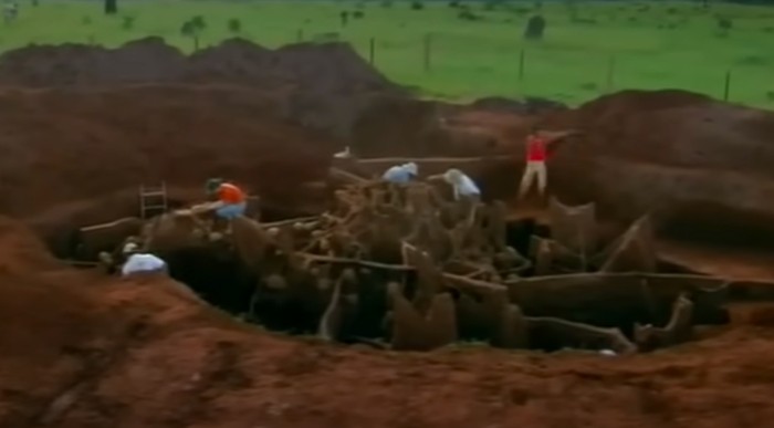 Kota semut raksasa ditemukan di bawah tanah.