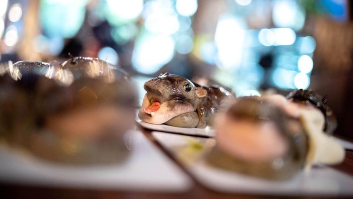 Moo Deng cakes (cakes in the shape of the pygmy hippo who has recently become a viral internet sensation) are displayed at the Vetmon Cafe (Magic Cafe) in Bangkok, Thailand, September 25, 2024. REUTERS/Athit Perawongmetha