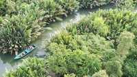 Foto udara sejumlah wisatawan mancanegara menyusuri sungai dengan kapal di kawasan ekowisata Sungai Hitam Lestari di Samboja, Kutai Kartanegara, Kalimantan Timur, Selasa (1/10/2024).