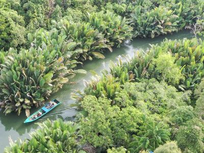 Menyusuri Ekowisata Sungai Hitam Lestari di Samboja