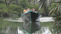 Ekowisata yang dikelola Kelompok Sadar Wisata (Pokdarwis) menawarkan kegiatan utama berupa susur sungai sepanjang 2,5 kilometer. 
