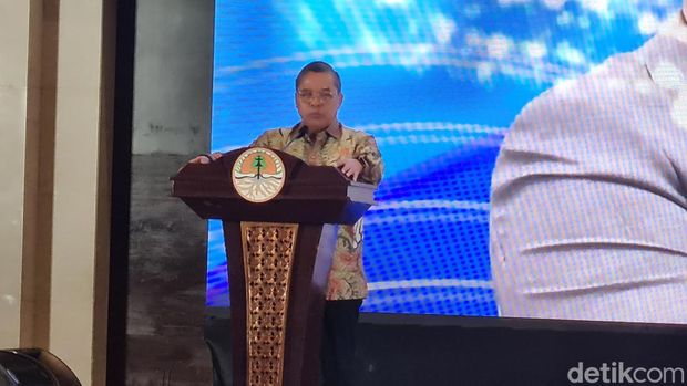 Wakil Menteri Lingkungan Hidup dan Kehutanan (LHK) Alue Dohong. Foto: Joakhim Tharob/detikcom