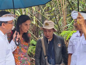 FAO Tetapkan Budi Daya Salak Sibetan Jadi Warisan Pertanian Penting Global
