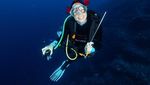 Foto: Adu Gaya Artis Indonesia Saat Diving, Mana Favoritmu?