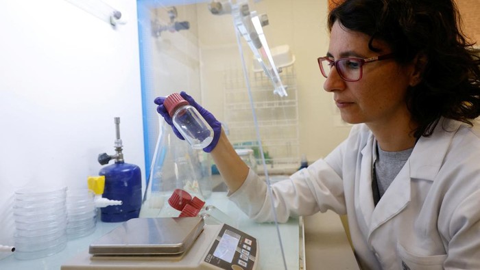 Pilar Roig Picazo, 75, professor of Restoration Sciences at the UPV, and her daughter Pilar Bosch Roig, 42, microbiologist and researcher at the University Institute of Heritage Restoration of the UPV watch as conservation and restoration technicians apply gelled solvent emulsion to a panel with mural painting removed from the Santos Juanes church at the University Institute of Heritage Restoration Research (IRP) of the UPV in Valencia, Spain, September 17, 2024. REUTERS/Eva Manez
