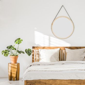 Sun shining on a white wall with a round mirror in a minimalist bedroom interior with natural, wooden furniture and beautiful green plants