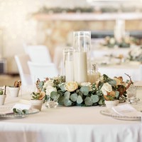 Viral Resepsi Nikah Berakhir Ngenes: Pengantin Ditipu, Tamu Tak Dapat Makan