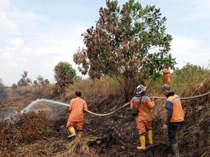 Zona Merah Kebakaran Hutan dan Lahan di Sumsel 4 Daerah, Mana Saja?