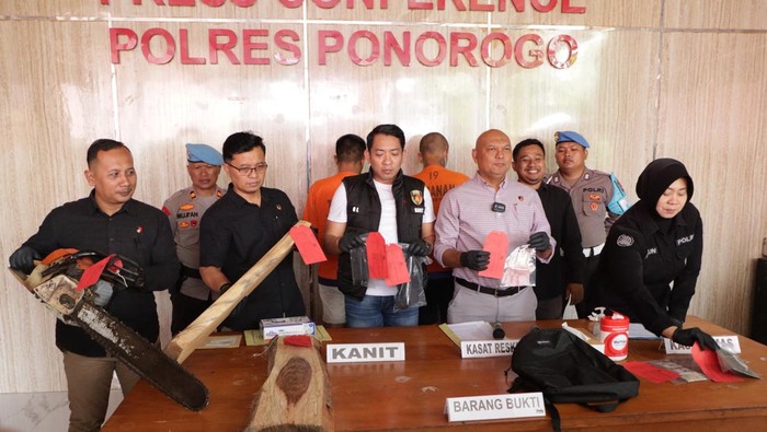 Kasus pembalakan liar hutan di Ponorogo diungkap