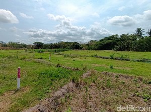 Cerita Warga Sawahnya 1 Meter di Bantul Kesenggol Tol Jogja-YIA